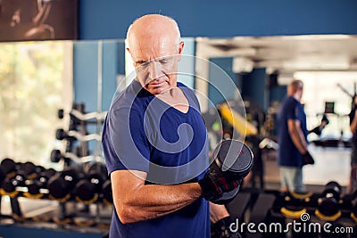 A portrait of senior man in the gym training with dumbbells. People, health and lifestyle concept Stock Photo