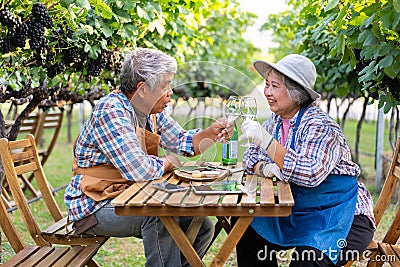 Portrait of senior winemaker holding in his hand a glass of new white wine. Smiling happy elderly couple enjoying a picnic Stock Photo