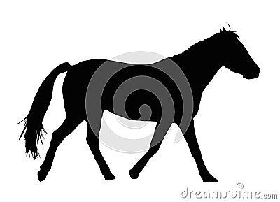 Portrait Silhouette of Large Horse Galloping Vector Illustration