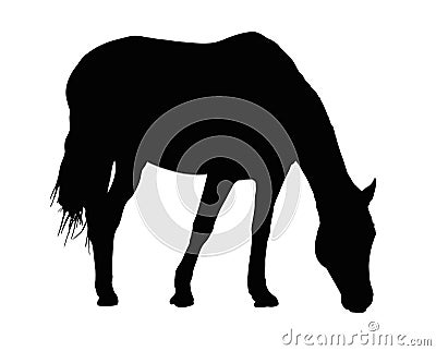 Portrait Silhouette of Large Horse Grazing Vector Illustration