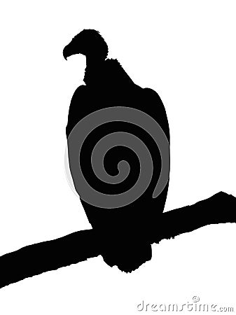 Portrait Silhouette of Large Vulture on Branch Vector Illustration