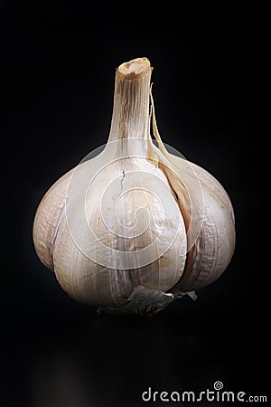 Portrait of single garlic with black cloth with a glass mat Stock Photo