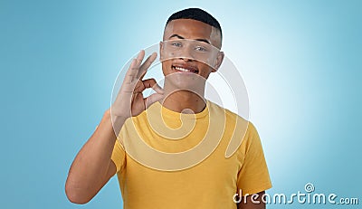Portrait, smile and man with perfect hand in studio with feedback, support or motivation on blue background. Ok, emoji Stock Photo