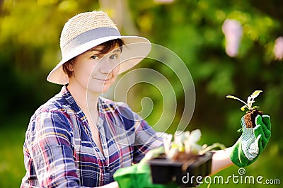 Portrait of smiling beautiful middle age female gardener Stock Photo