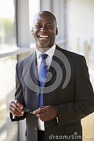 Portrait of a smiling businessman holding glasses Stock Photo