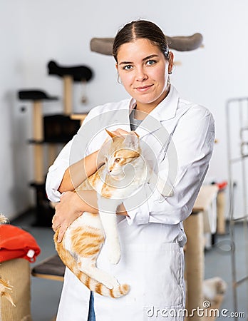 Girl animal shelter volunteer holding ginger tabby cat Stock Photo