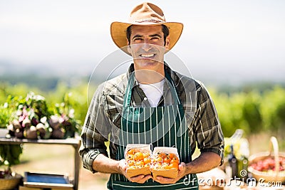 Portrait of a smiling farmer holding box of fruit Stock Photo
