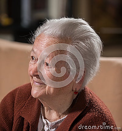 Portrait of smiling gray-haired old woman Stock Photo