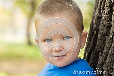 Portrait of a smiling little boy dressed in a blue sweater on a sunny day Stock Photo