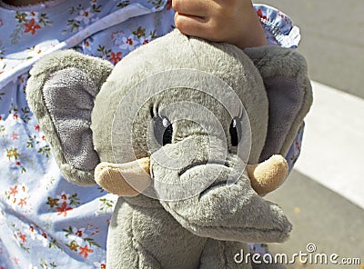 Portrait of smiling little girl with a teddy elephant. Stock Photo