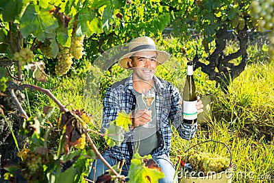 Smiling winemaker offering wine for testing in vineyard Stock Photo