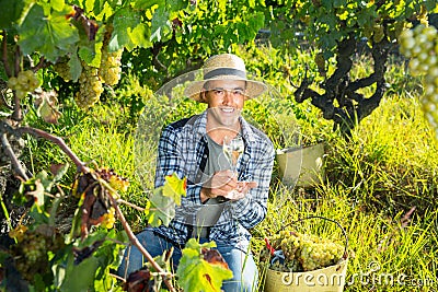 Smiling winemaker offering wine for testing in vineyard Stock Photo