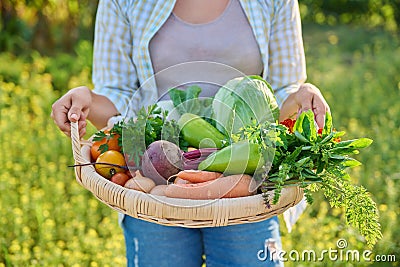 Portrait of smiling woman with basket of different fresh vegetables and herbs Stock Photo