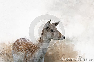 Portrait of spotted fallow deer, watercolor painting. Animal illustration Cartoon Illustration