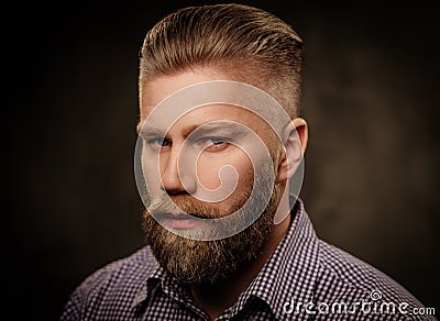 Portrait of stylish bearded man on gray. Stock Photo