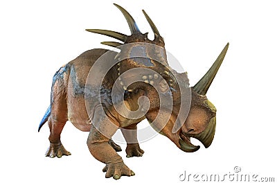 Portrait of styracosaurus isolated on white background.Styracosaurus is an herbivore dinosaur lived in cretaceous period Stock Photo