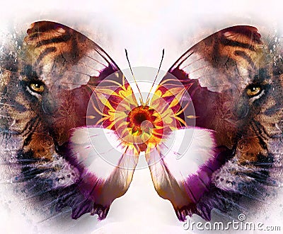 Portrait tiger and butterfly. computer collage Stock Photo