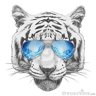 Portrait of Tiger with mirror sunglasses. Cartoon Illustration