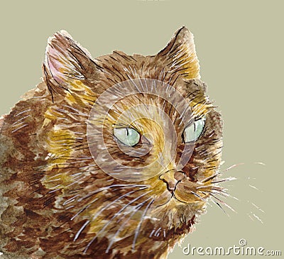 Portrait of tortie cat with green eyes. Pet head. Hand drawn watercolor illustration Cartoon Illustration