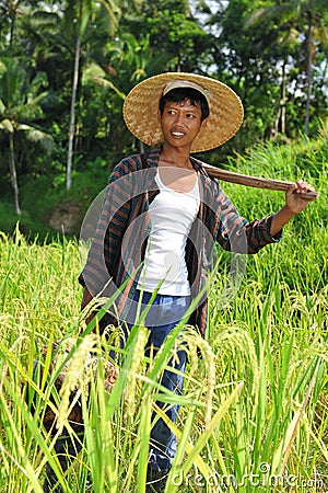 Portrait of traditional rice farmer Stock Photo