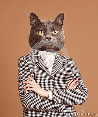 Portrait of trendy catwoman Stock Photo