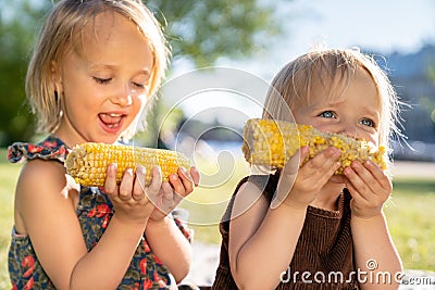 Two happy little childs girls sisters eat sweet corn cob at summer day. Healthy eating, picnic Stock Photo