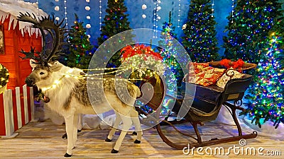 Two reindeers at the reign of Santa Claus with sled and christmas trees Stock Photo