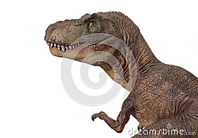 Portrait of a Tyrannosaurus rex isolated on white background Stock Photo