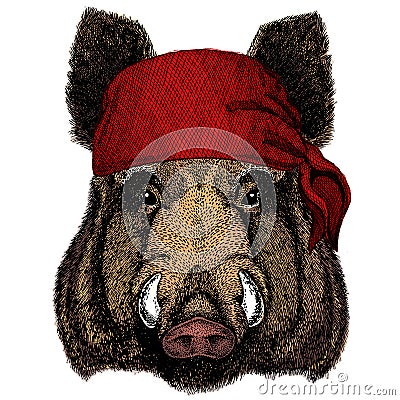 Portrait of wild hog, boar, pig. Face of brave animal. Bandana. Pirate. Motorcycle. Vector Illustration