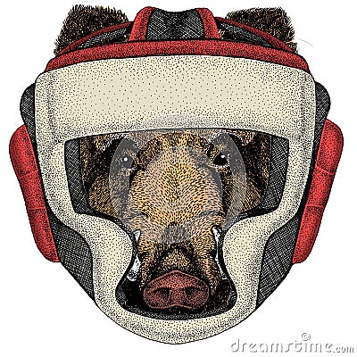 Portrait of wild hog, boar, pig. Face of brave animal. Boxing helmet. Vector Illustration