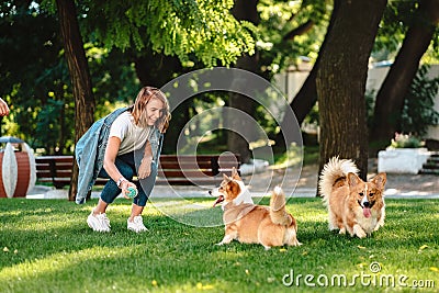 Portrait of woman with dogs Welsh Corgi Pembroke in dog park Stock Photo