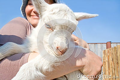 Portrait of woman with goatling. Stock Photo