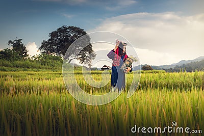 Portrait of woman tribal Lisu in traditional dress and jewelry costume in rice fields., Lifestyle of hill tribe girl in the north Stock Photo