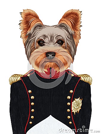 Portrait of Yorkshire Terrier in military uniform. Cartoon Illustration
