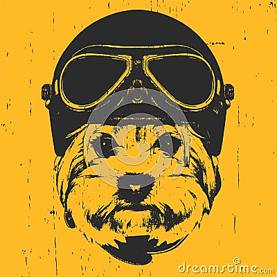 Portrait of Yorkshire Terrier with Vintage Helmet. Vector Illustration