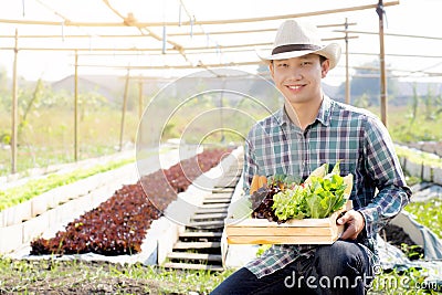 Portrait young asian man smiling harvest and picking up fresh organic vegetable kitchen garden in basket in the hydroponic farm Stock Photo