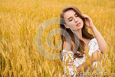 Portrait of a young girl on a background of golden wheat field Stock Photo
