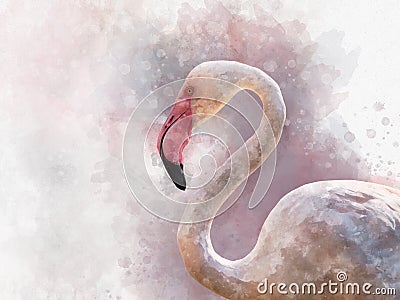 Portret of a Flamingo, watercolor painting. Red flamingo Phoenicopterus ruber, zoological illustration, hand drawing Cartoon Illustration