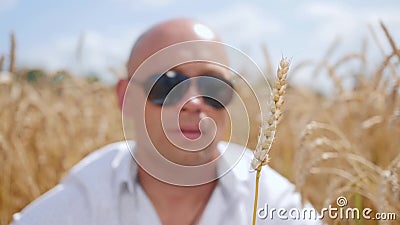 Portret van een kale mensenzitting op een tarwegebied en holding één oren die van tarwe in zijn handen, bij hem blazen Sluit omho stock video Portret van een kale mensenzitting op een tarwegebied en holding één oren die van tarwe in zijn handen, bij hem blazen Sluit omho stock video