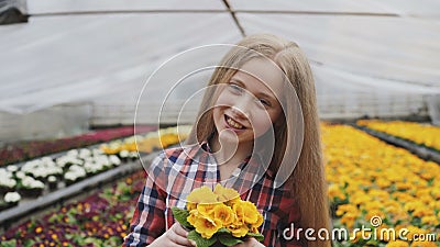 Porträt von glücklichen riechenden Blumen des jungen Mädchens im Gewächshaus an der Kamera stock footage Porträt von glücklichen riechenden Blumen des jungen Mädchens im Gewächshaus an der Kamera stock footage