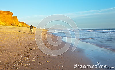 Portugal. Algarve. A tourist photographs the beautiful seascape of the FalÃ©sia beach Editorial Stock Photo