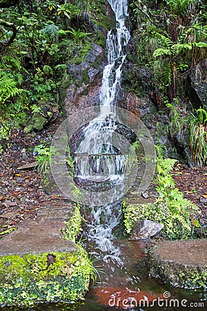 Portugal, Madeira, Levada 25 Fontes near Rabacal Stock Photo