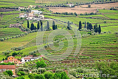 Portugal rural landscape Stock Photo