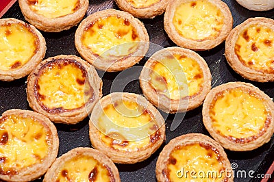 Portuguese Custard Tart Stock Photo