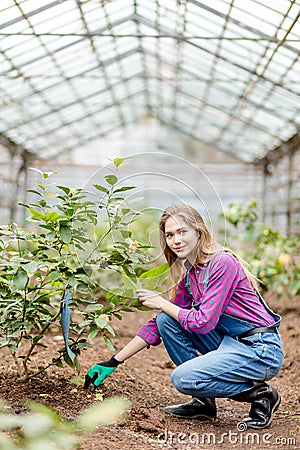 Positive awesome woman is interested in plants Stock Photo