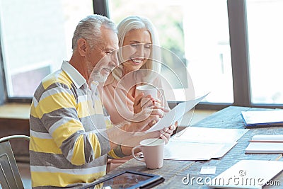 Positive retired couple counting their budget Stock Photo