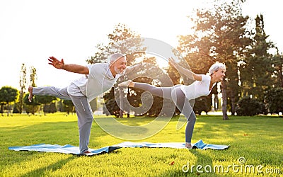 Positive senior couple practicing partner yoga in nature on open air in park Stock Photo