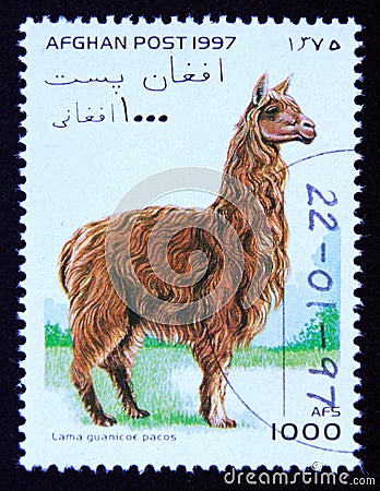 Postage stamp Afghanistan 1997, Alpaca, Lama guanicoe pacos Editorial Stock Photo