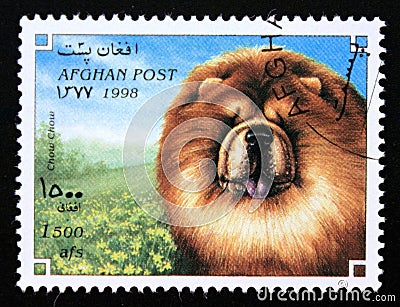 Postage stamp Afghanistan, 1998. Chow Chow dog breed Canis lupus familiaris Editorial Stock Photo