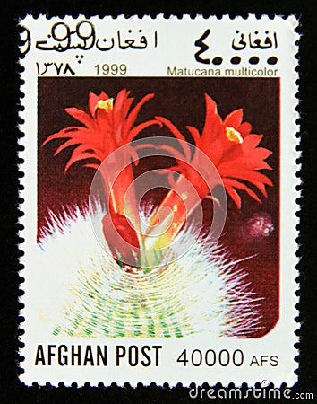 Postage stamp Afghanistan 1999. Matucana Cactus Matucana multicolor cacti cactus flower Editorial Stock Photo